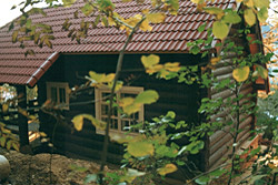 Roubené dřevostavby - roubenky a sruby - nabídka pro zpracovatele